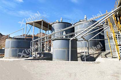 Gold leaching plant1